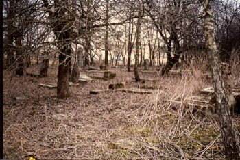 kletsk cemetery 1991